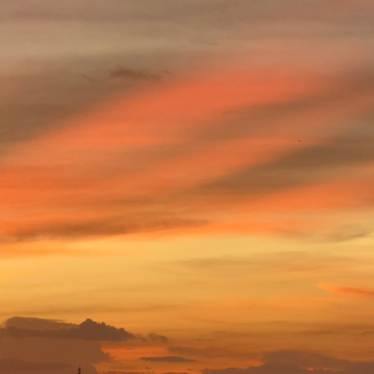 lostyouinmay's tweet image. วันนี้เหนื่อยไหม,
เธอเก่งมากๆแล้วนะ พักผ่อนเยอะๆ
หาของกินอร่อยๆ กอดตัวเองให้มากๆนะ :-)