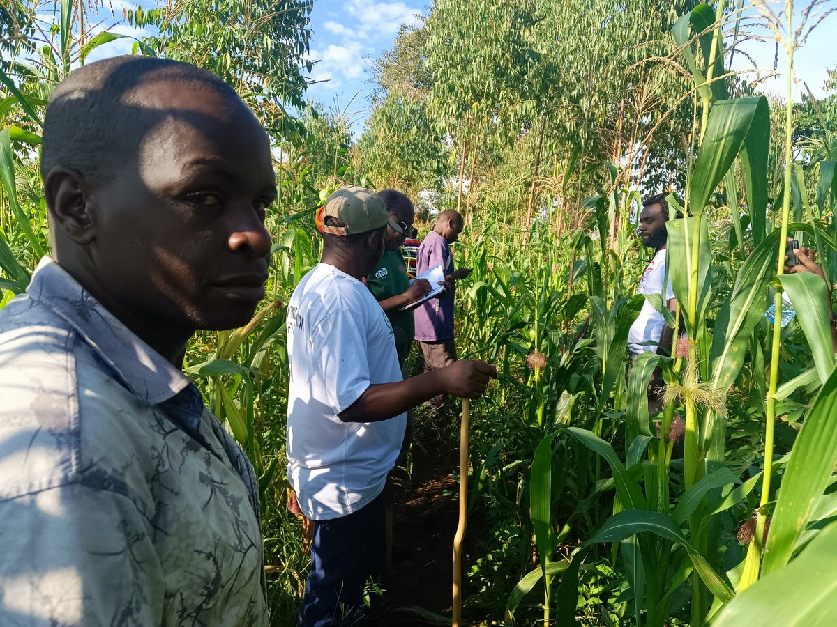 Dr Jibril S. Owomugisha (@dr_jibcares) on Twitter photo We're recording the #farmers who illegally encroached & destroyed forest reserves.
We want to restore the degraded patches of this forest in this rainy season.
They want compensation for their crops before we restore the land!
What do you say !?
Cc <a href="/ABarirega/">Barirega Akankwasah, PhD</a> <a href="/AldonW/">Aldon Walukamba</a> <a href="/UNCCD/">UN Land and Drought</a> We're recording the #farmers who illegally encroached & destroyed forest reserves.
We want to restore the degraded patches of this forest in this rainy season.
They want compensation for their crops before we restore the land!
What do you say !?
Cc <a href="/ABarirega/">Barirega Akankwasah, PhD</a> <a href="/AldonW/">Aldon Walukamba</a> <a href="/UNCCD/">UN Land and Drought</a>