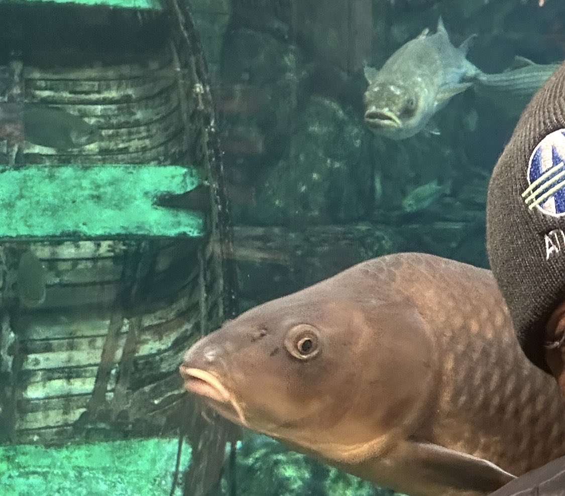 OstrichAnt's tweet image. Hey ⁦@benmaller⁩, my bus route stops at BASS PRO SHOPS and I was wondering if you go fishing🤔🎣#AskBen😁ow.ly/nNK2i😴📻P1Life