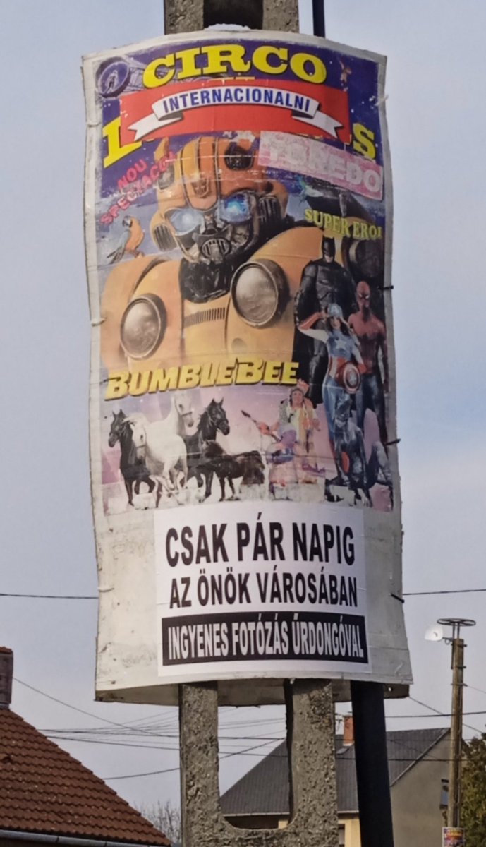 Look guys Bumblebee is coming to tour in Hungary✨

#Transformers