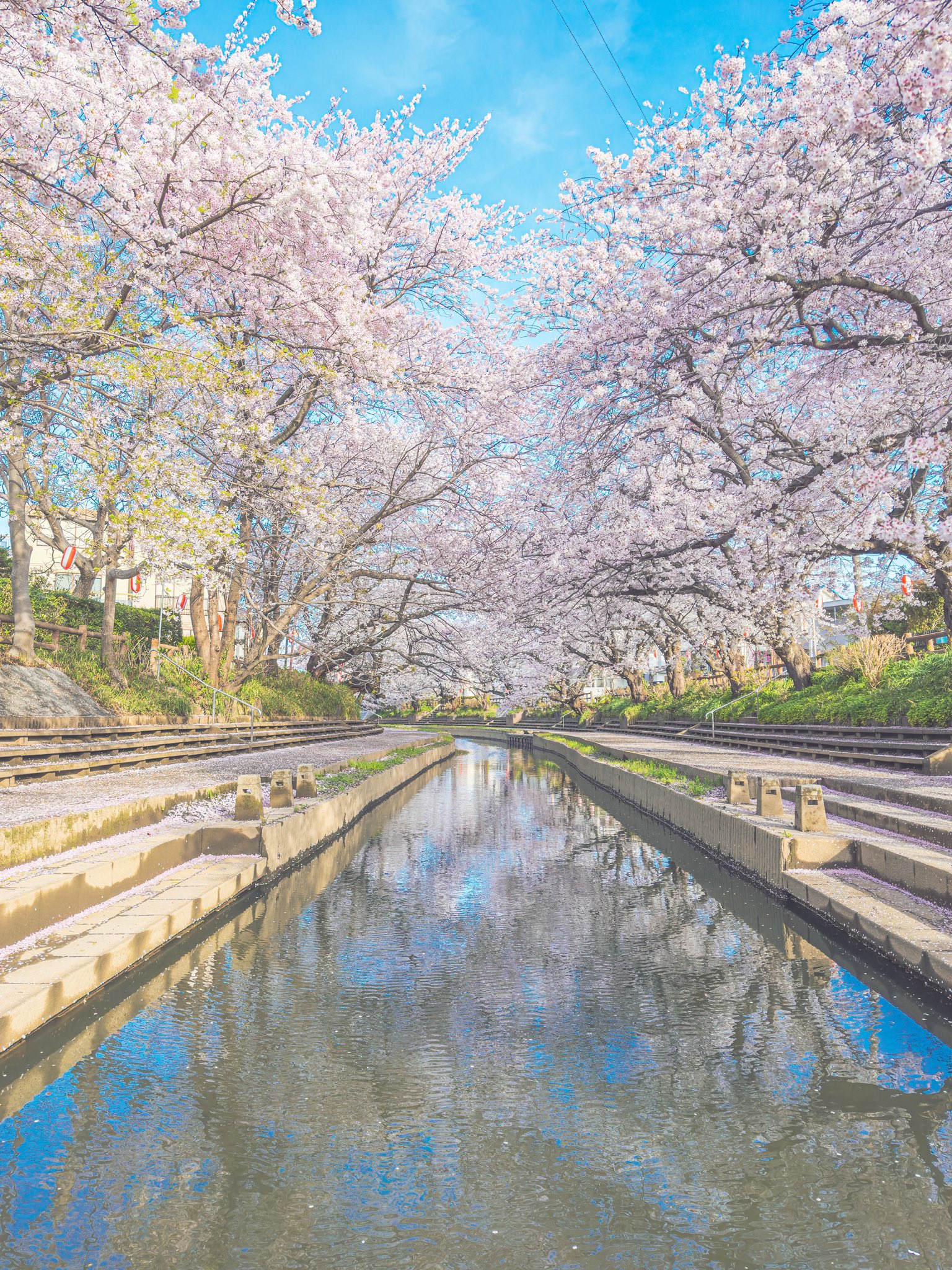 Amazon.co.jp: S-ш/雅 miyavi ぶらり、みちのく一人旅 IN U.S.A.
