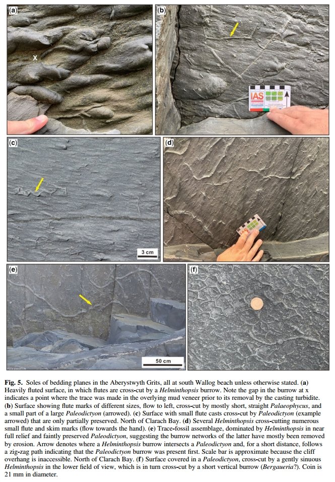 Jaco H. Baas 🇪🇺🏴󠁧󠁢󠁷󠁬󠁳󠁿🇳🇱⚒️⛰️🌊🚶🥘🎶⚽ tweet media