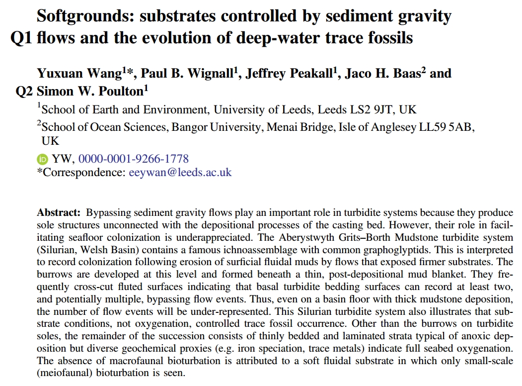 Jaco H. Baas 🇪🇺🏴󠁧󠁢󠁷󠁬󠁳󠁿🇳🇱⚒️⛰️🌊🚶🥘🎶⚽ tweet media