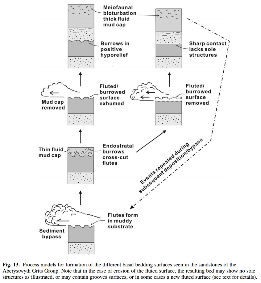 Jaco H. Baas 🇪🇺🏴󠁧󠁢󠁷󠁬󠁳󠁿🇳🇱⚒️⛰️🌊🚶🥘🎶⚽ tweet media
