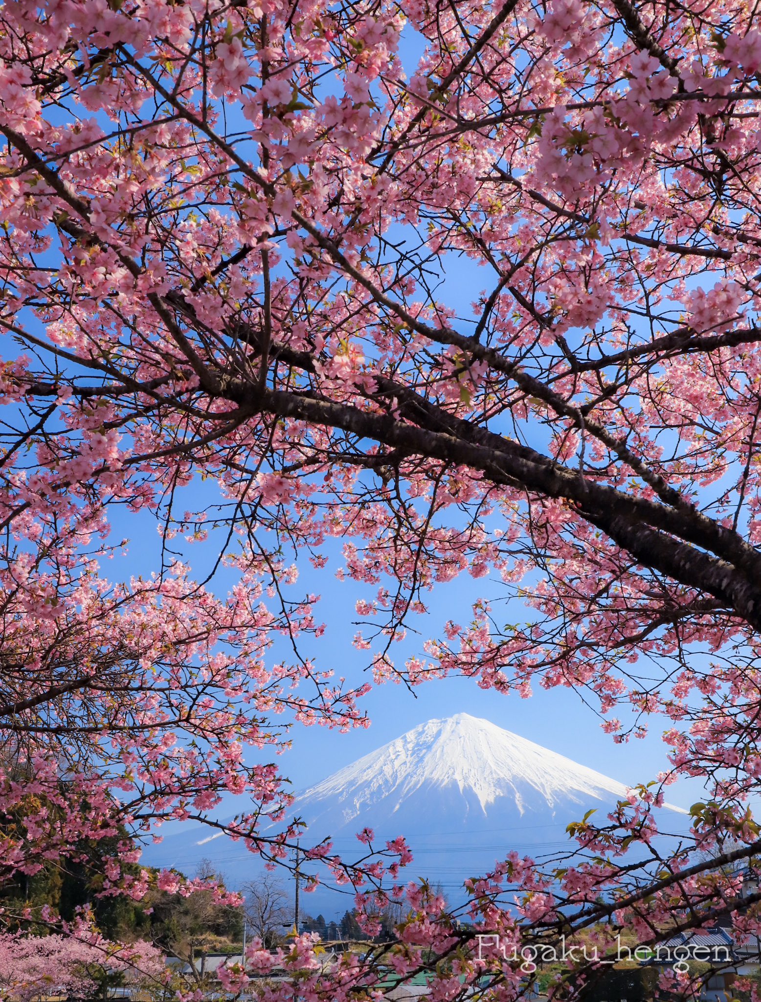 至高のクリスタルアートオブジェ｜天鹅と桜が紡ぐ麗しき春の幻想 ロビーでは、春の訪れを感じる優しい彩りの装花がお出迎えして