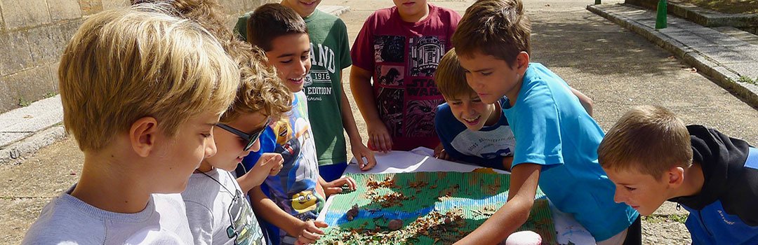 Ofrecemos ocho becas para que niños y adolescentes con @discapacidad puedan disfrutar de los campamentos de verano inclusivos y educativos ofertados por <a href="/EscuelabMadrid/">EscueLab</a> en la primera quincena de julio.

Más info 👉 bit.ly/4hUgVPv
