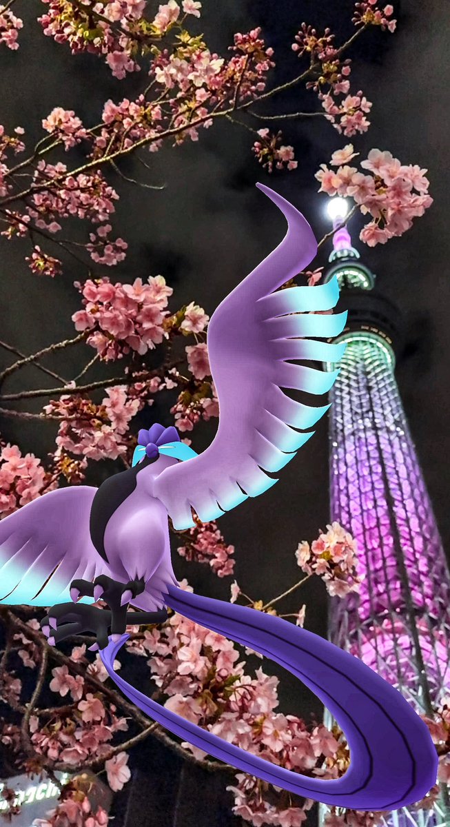caerleon0327's tweet image. #ポケモンGO
#GOsnapshotCelebration 
#GOsnapshot 
#ARofTheDay 
#夜桜