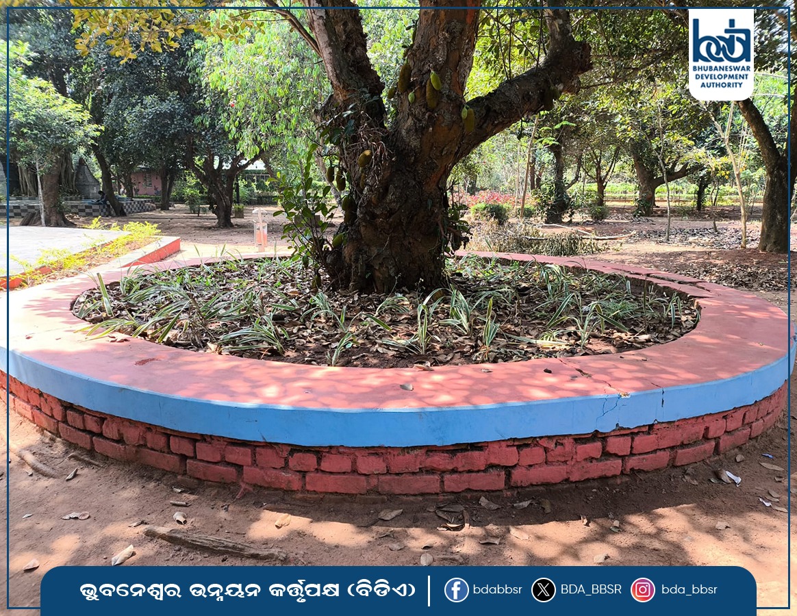 BDA_BBSR's tweet photo. BDA Parks feature creative &amp; decorative seating 💺🌿 alongside regular benches, catering to all age groups. These unique designs enhance park beauty &amp; offer a relaxing way to enjoy nature. ✨🍃
#BDAParks #BBSR #BDA https://t.co/6OOZKhgeap