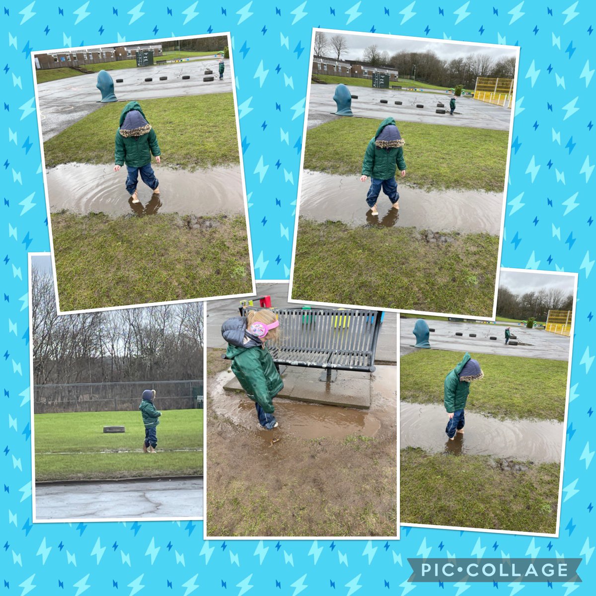 The Hive tweet media