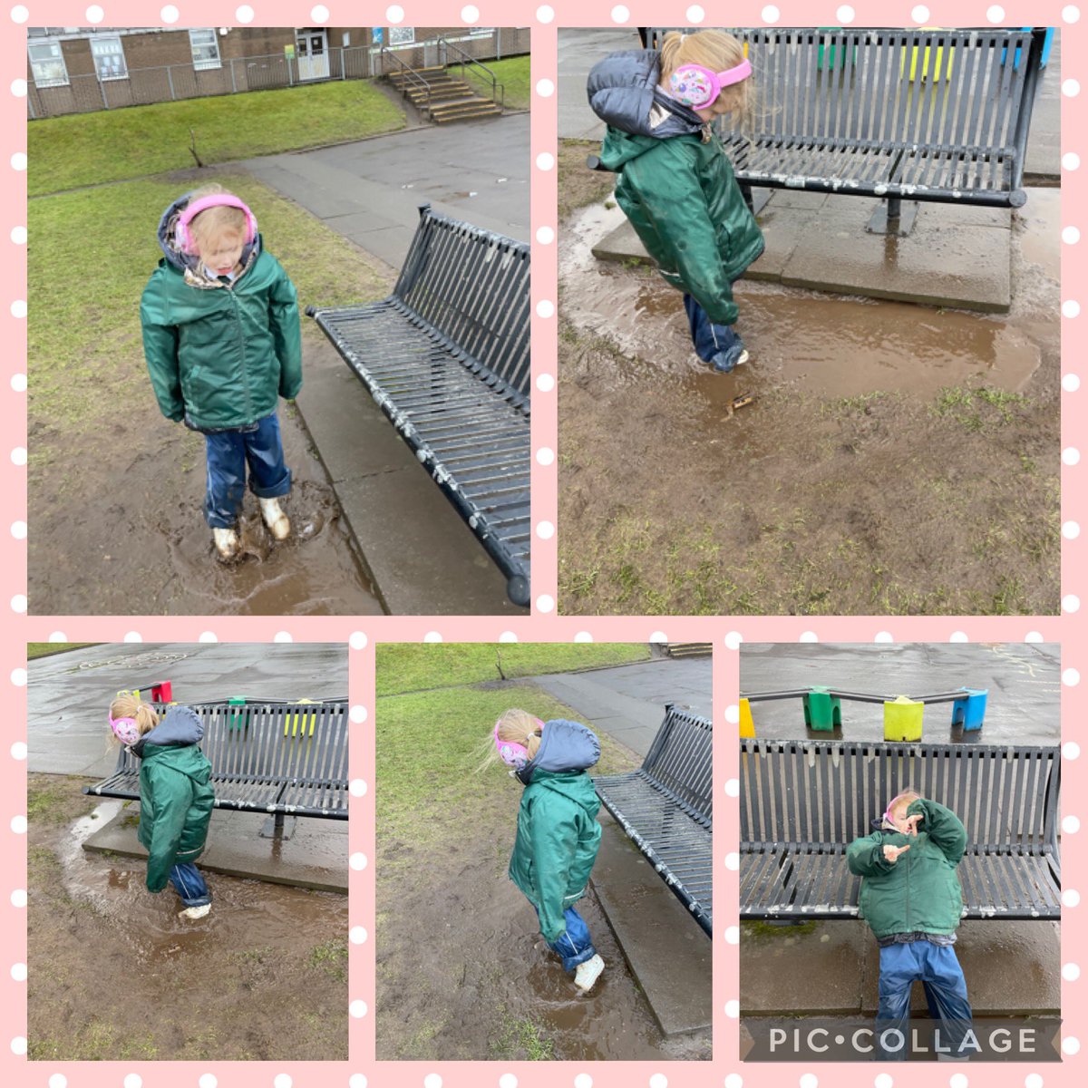 The Hive tweet media