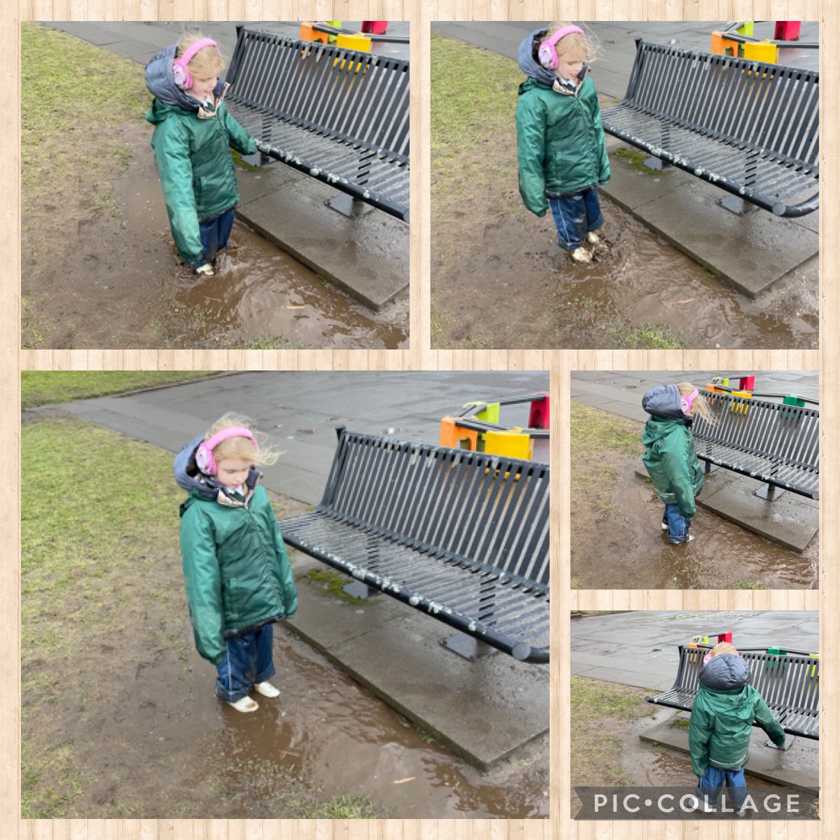 The Hive tweet media