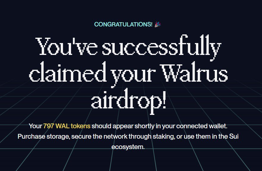 Airdrop Hunter tweet media