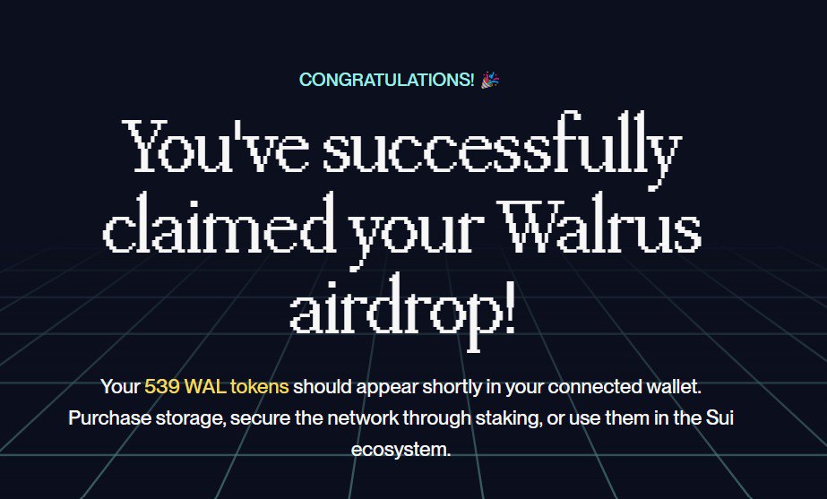 Airdrop Hunter tweet media