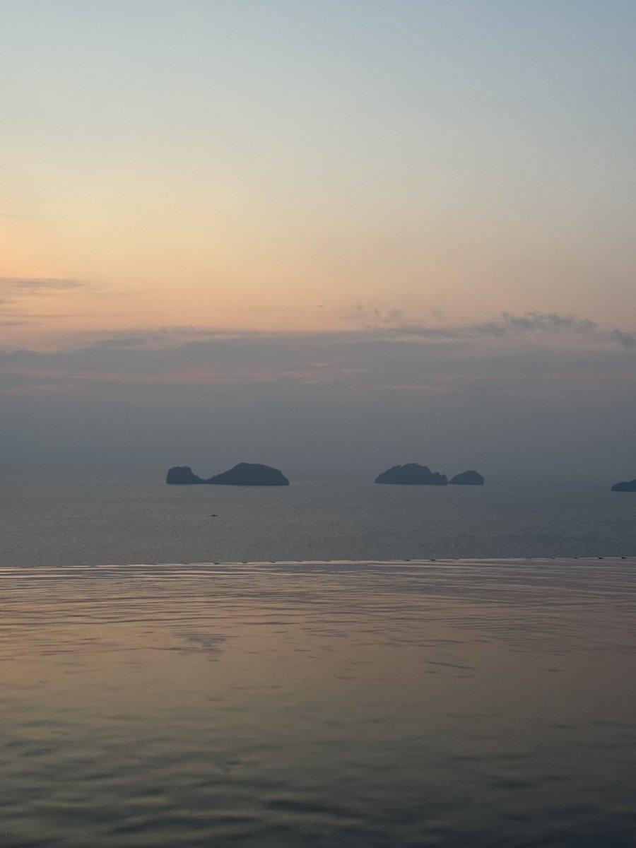 That Martini Guy ₿ (@martiniguyyt) on Twitter photo 