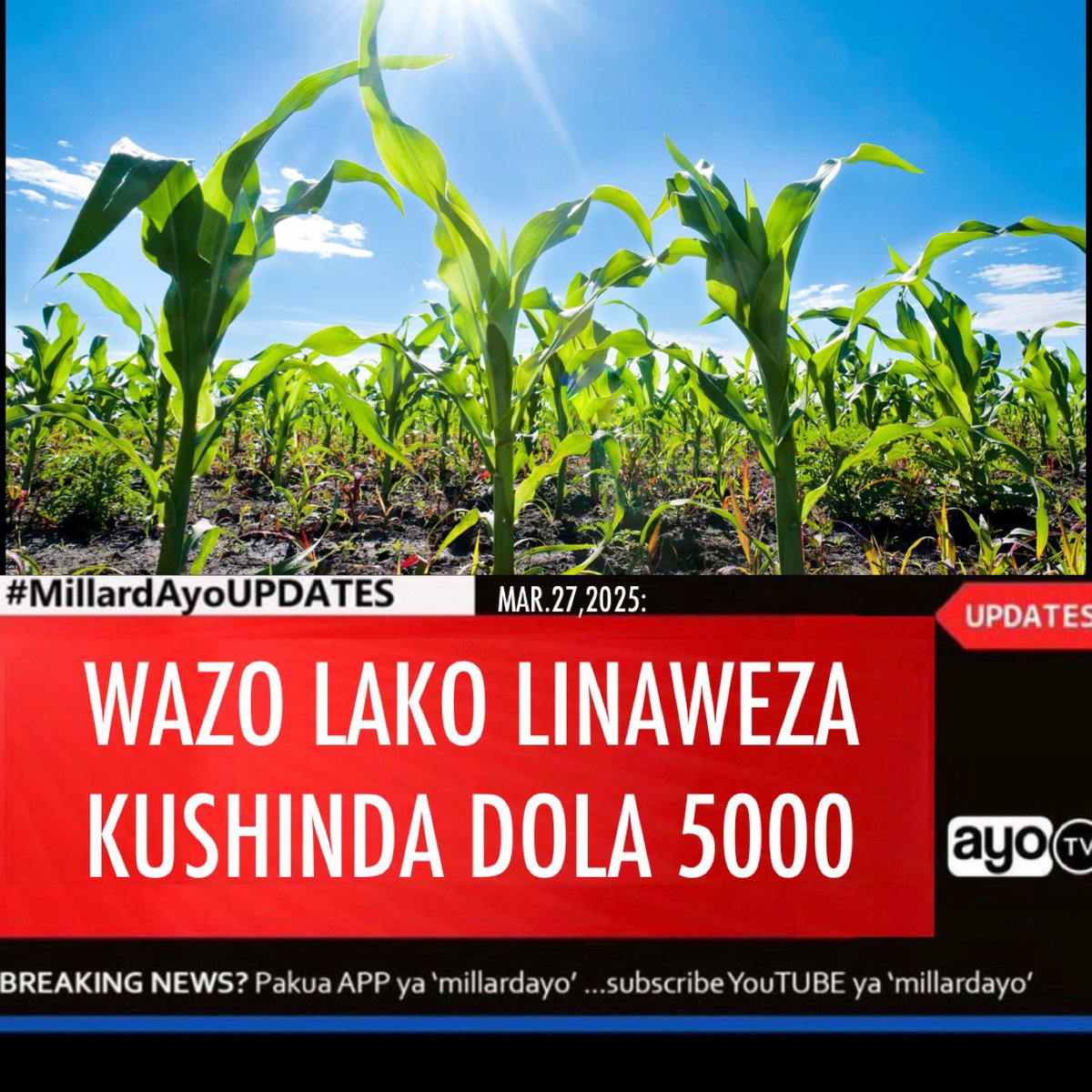 Dola elfu tano za Kimarekani kwa leo ni kama milioni 13 za Kitanzania....... hicho ni kiwango cha pesa unachoweza kupewa iwapo wazo lako litachakuliwa kuwa wazo bora katika shindano la lishe liitwalo Fortify Forward Innovation Challenge ambalo milango kwa Watanzania kushiriki ni
