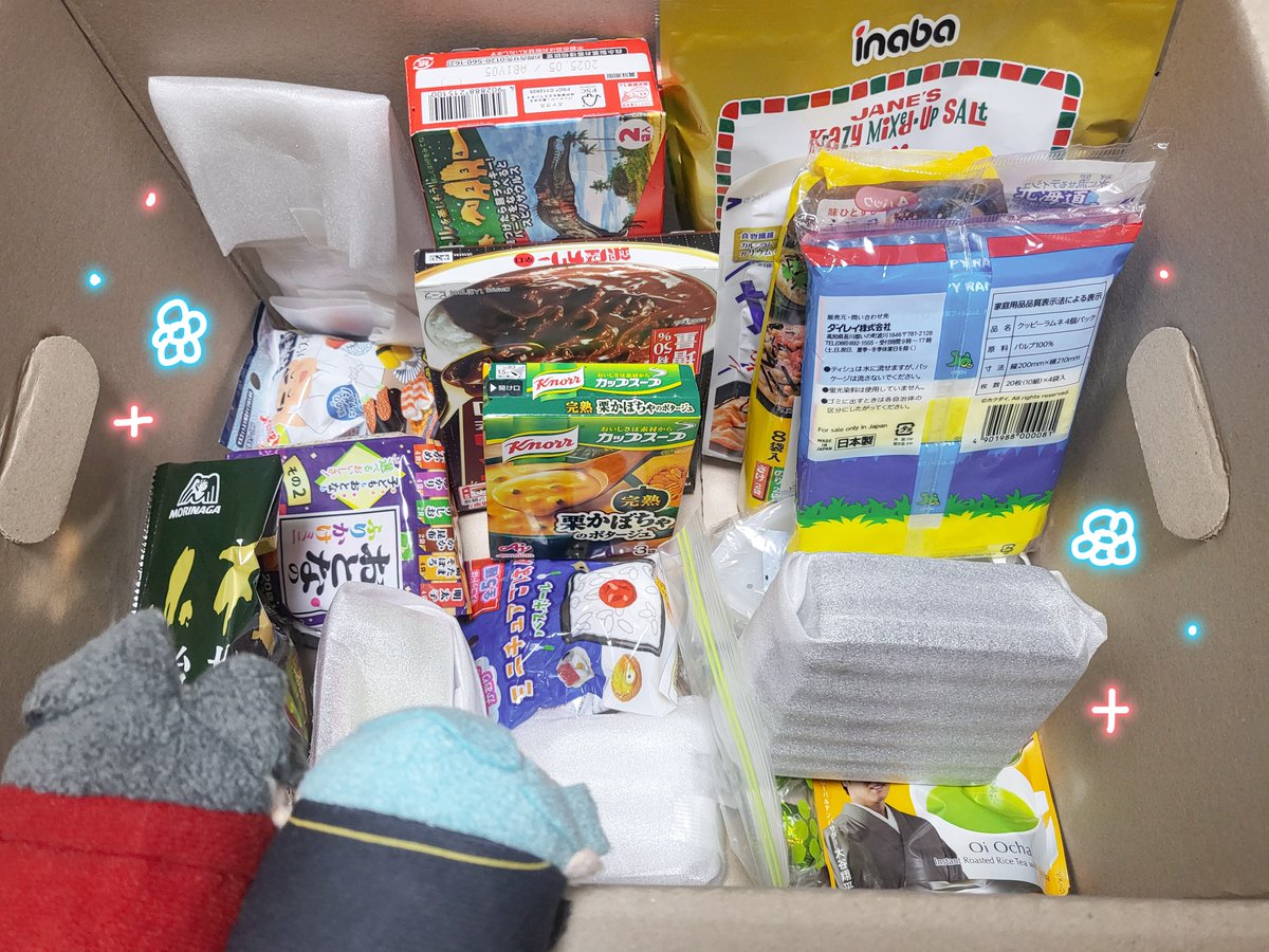 Kikka님이 엄청난 택배를 보내주심... ㅠ.ㅠ🥹🥹🥹저희집 검사님들이 아주 마음에 들어하셨습니다😊