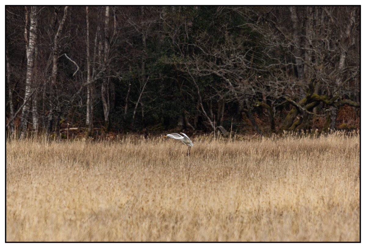 Michael Cuthbert Photography tweet media