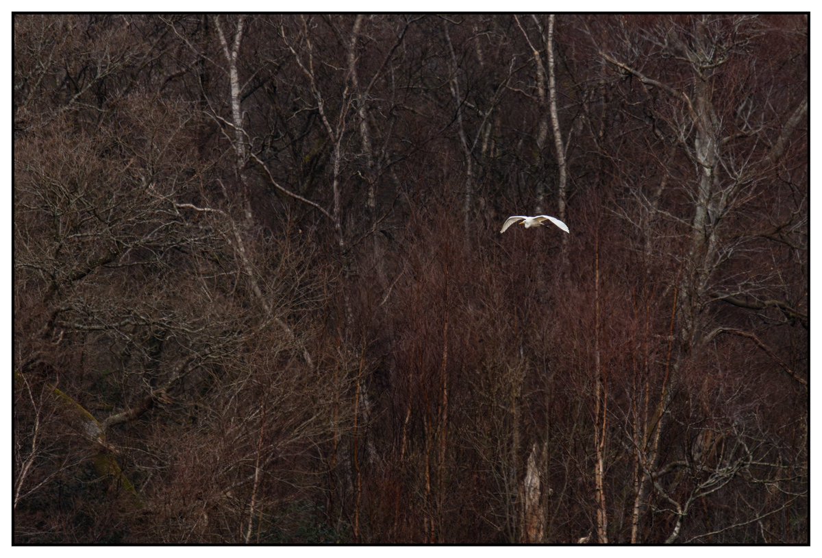 Michael Cuthbert Photography tweet media