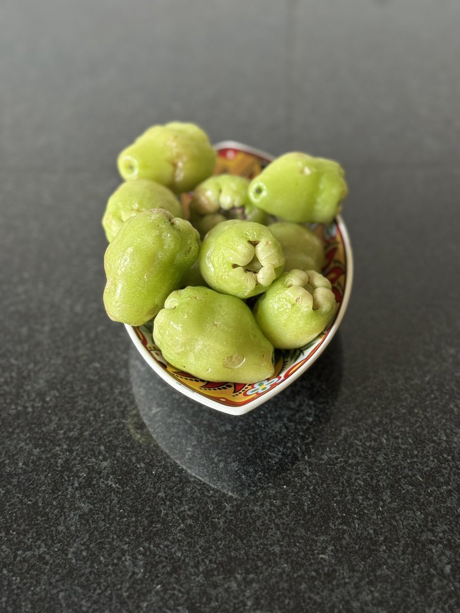 amarbarwe's tweet photo. Got another batch of water apples or जांब after my last post. This time our own Karen Anand got it from the Konkan region. Can’t get enough of this lovely fruit! #waterapple #tropicalfruit #healthyeating #fruitlover https://t.co/VCRlHflpWm