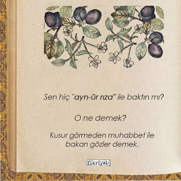 Monna Rosa (@ayaserenat) on Twitter photo 