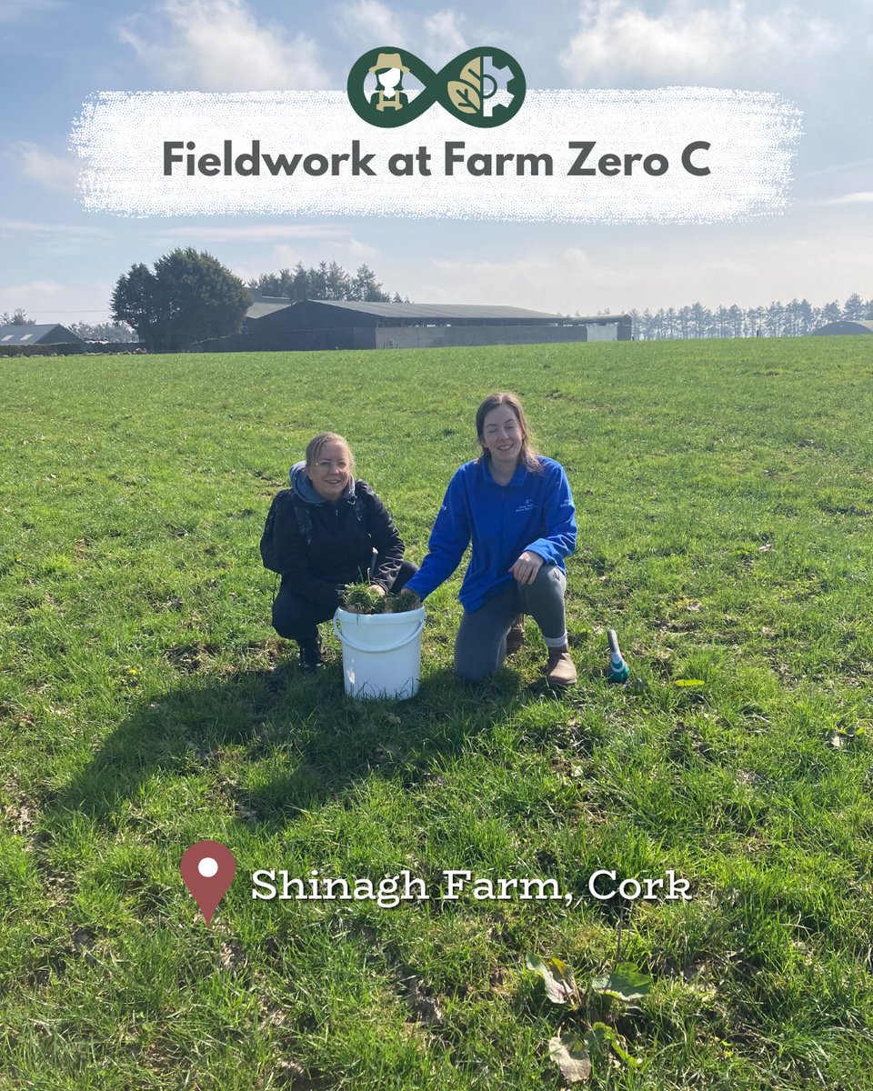 RuralBioReFarm's tweet image. Good weather in Ireland = time for fieldwork! ☘️ 🧑🔬
RBRF partners from @MTU_ie's @CircBio, @CarberyGroup and @biOrbic_centre have started collecting the first early season samples that will be analysed on the demo site at Farm Zero C.
Find out more: ruralbiorefarmeries.eu/demo-sites/ire…