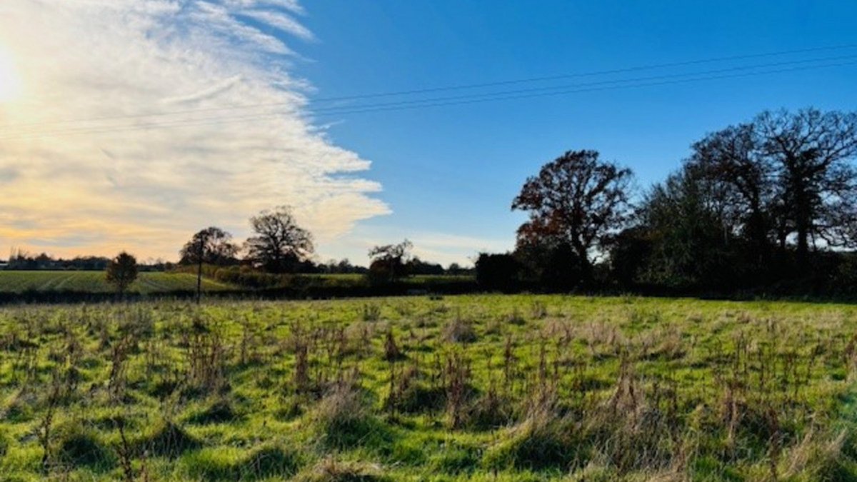 Weldon Beesly tweet media