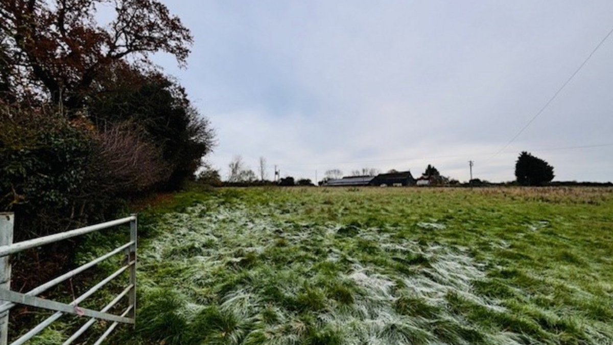 This 4.7 acres of fenced grazing land is available to let in #PetersGreen, Luton 🌾

If this is the land that could be right for you, call Weldon Beesly at 01279 798 866 to discuss! 📞