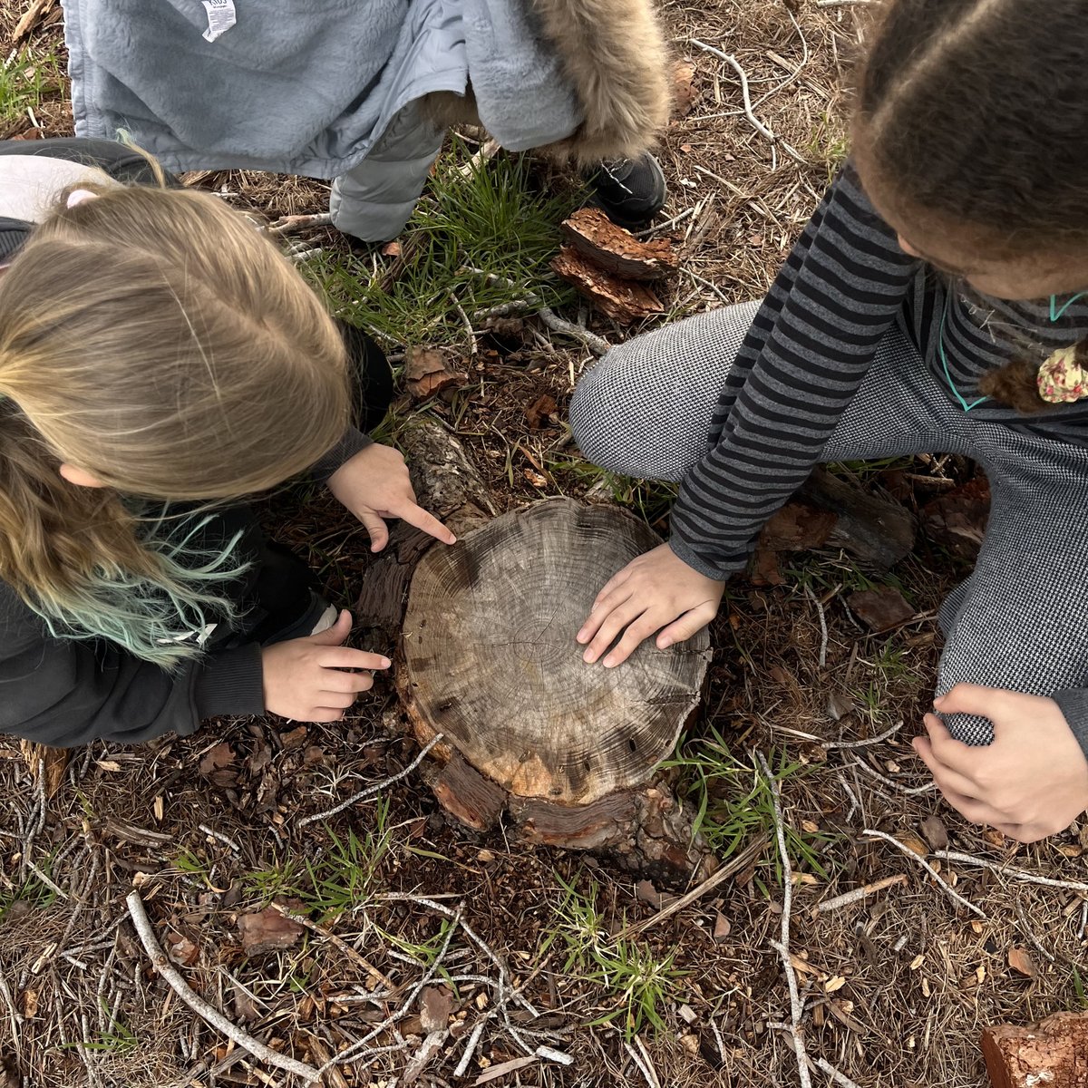 EscolaDuraniBas's tweet photo. SORTIDA 4t!🌲
Avui recordem la sortida dels infants de 4t al bosc del parc de l’Oreneta. Durant tot el dia, van fer diverses activitats d’exploració i experimentació. 
#escoladuranibas https://t.co/AZraQg9LVS