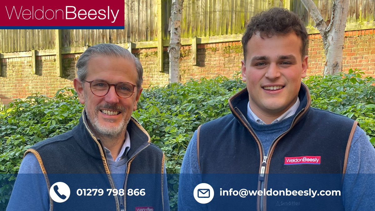 Join Weldon Beesly – Chartered Surveyor Wanted! 🌿

We’re seeking a #CharteredSurveyor with 5+ years of experience and a passion for rural property. Join our friendly, independent firm.

Ready to grow with us? Apply now!