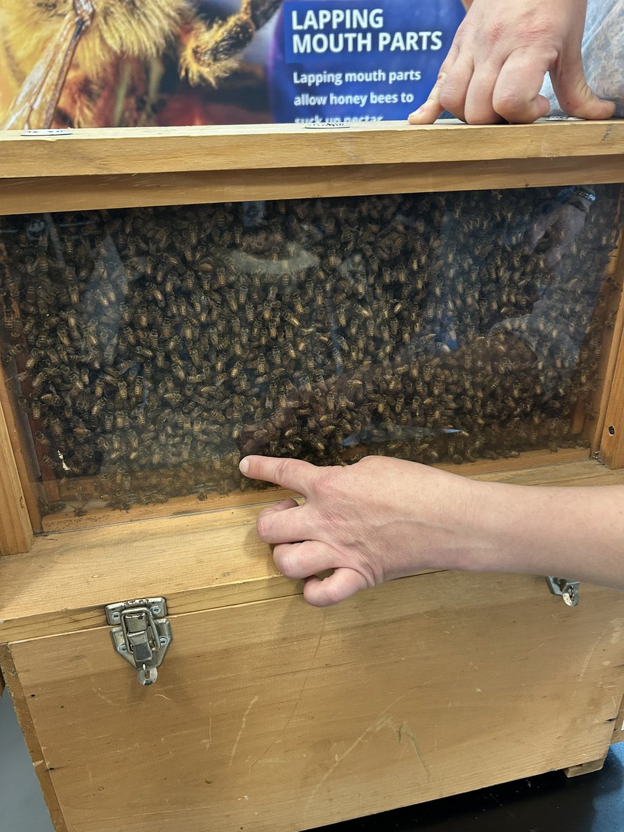 Jeannette Duggan tweet media