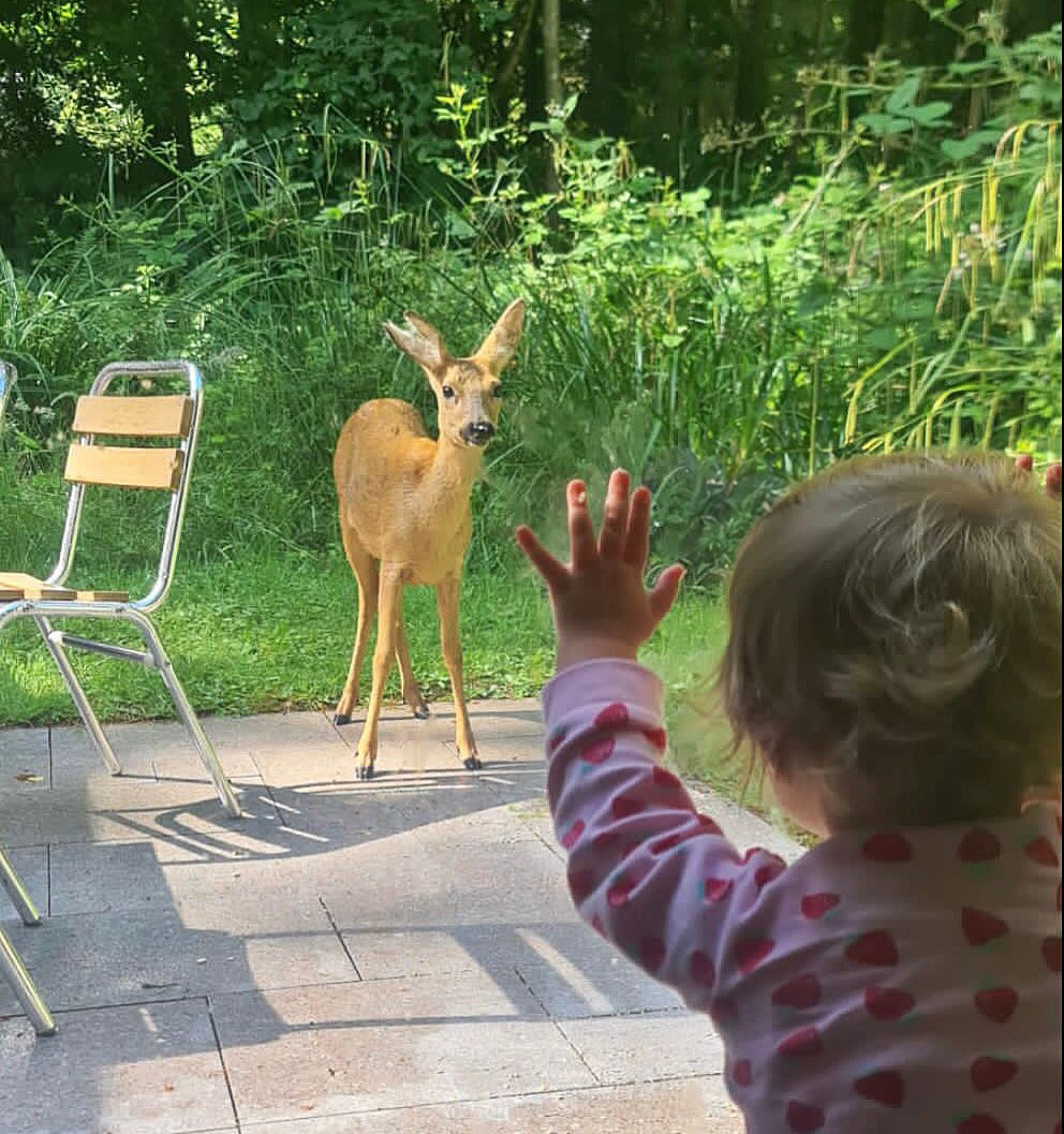 CPCareers's tweet photo. At Center Parcs, nature is part of everyday life. Imagine stepping out on your break and spotting a deer, or finishing a shift and unwinding in the heart of the forest. 🌲✨

📍  https://t.co/gMVVGM2zip

A truly special moment captured by 📸 Jordann Marchetti https://t.co/ID8E4Hk76a