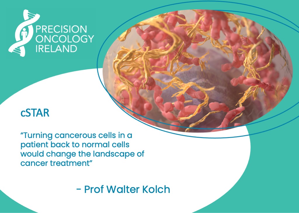 UCD Research (@ucd_research) on Twitter photo How does a cell become a cancer cell? What factors influence it on that journey? And can we convince a cancer cell to return to being a non-cancer cell?
These are questions at the heart of cSTAR!
Learn more <a href="/PrecisionOncIre/">Precision Oncology Ireland</a> #Impact #ResearchisCare
precisiononcology.ie/research/impac⦠How does a cell become a cancer cell? What factors influence it on that journey? And can we convince a cancer cell to return to being a non-cancer cell?
These are questions at the heart of cSTAR!
Learn more <a href="/PrecisionOncIre/">Precision Oncology Ireland</a> #Impact #ResearchisCare
precisiononcology.ie/research/impacā¦