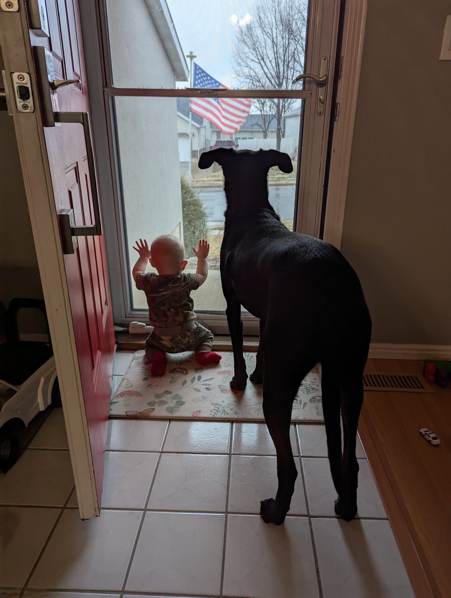 Does anyone do Non Political posts anymore? I'm just looking for some Video game stuff and oh yeah dogs Don't forget to post about your dogs.