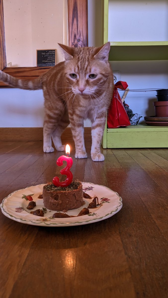 calipsoo__'s tweet photo. Está de cumple el neñu 

Felicitarle 🫵 https://t.co/OfHEHPSKcb