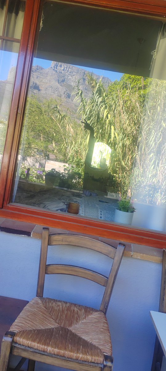 NickyVex's tweet image. 2 PM views with a side of awe 🌤️📸 Table Mountain, you’re always iconic! #CapeTownCharm #AfternoonGlow #PeakPerfection #NoFilterNeeded