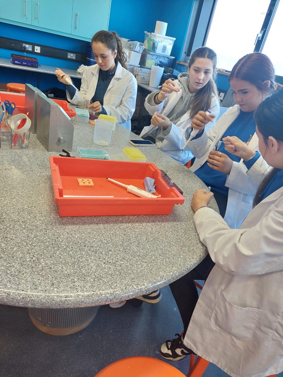 Our Lady's, Newry tweet media