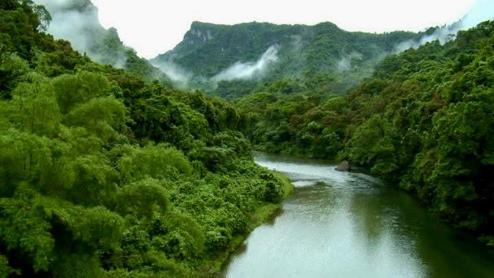 bulajaz's tweet photo. Had the pleasure of learning from Kini at our National Trust of Fiji council meeting. He shared ongoing work at Sovi Basin Protected Area. From ensuring communities benefit from conservation of the Basin, to protecting the local biodiversity, Kini showed so much passion. https://t.co/w3XQtm9swS
