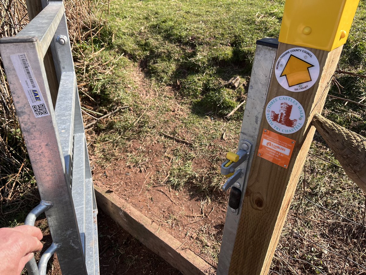 Andrew Stumpf tweet media