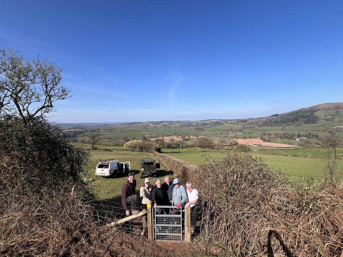 Andrew Stumpf tweet media