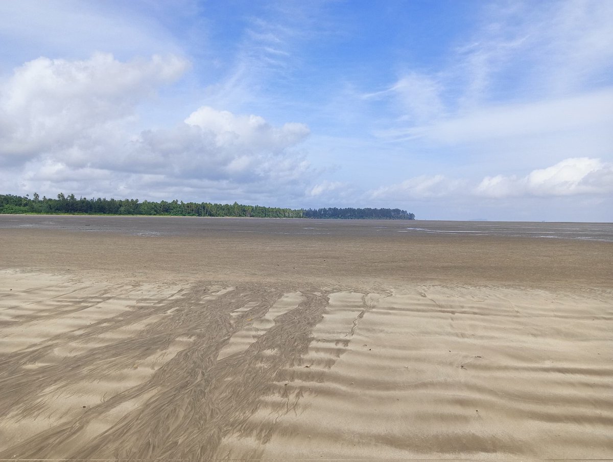 AQUES_MY (@aques_my) on Twitter photo What a lovely day for fieldwork ☀️
Our FYP <a href="/Swinburne_Swk/">Swinburne Sarawak</a> students are out collecting in-situ CO₂ flux measurements using LI-COR 8100 Analyzer under the vast skies.
#LI8100 #Mangroves #GreenHouseGasses #GHGEmissions #CO2Flux #GlobalWarming #Fieldwork #ScienceTwitter #Swinburne What a lovely day for fieldwork ☀️
Our FYP <a href="/Swinburne_Swk/">Swinburne Sarawak</a> students are out collecting in-situ CO₂ flux measurements using LI-COR 8100 Analyzer under the vast skies.
#LI8100 #Mangroves #GreenHouseGasses #GHGEmissions #CO2Flux #GlobalWarming #Fieldwork #ScienceTwitter #Swinburne