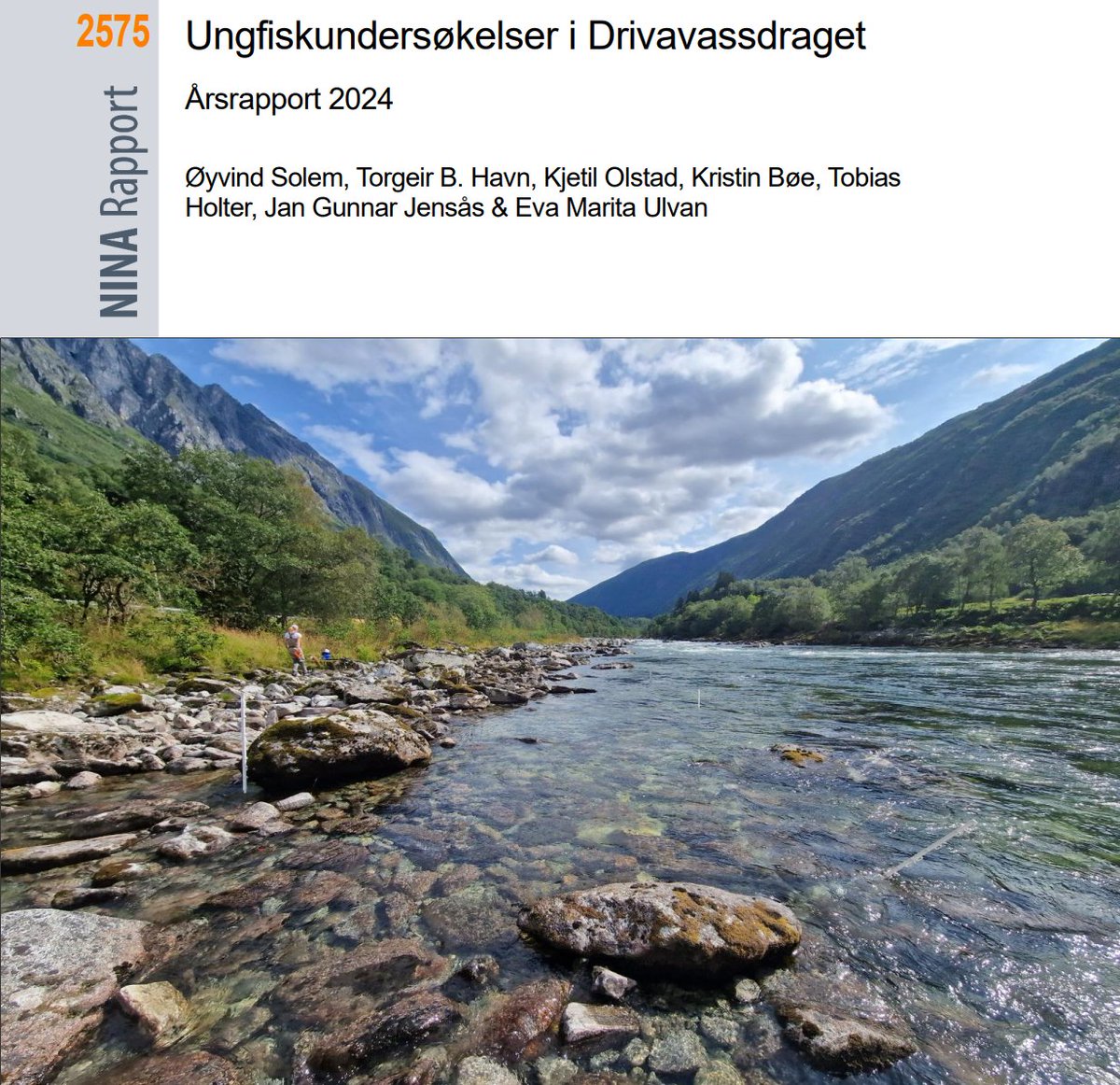 NINAforskning's tweet photo. Ny rapport: Ungfiskundersøkelser i Drivavassdraget. Årsrapport 2024. #laks #aure #Drivavassdraget https://t.co/UyCAWuUl8j https://t.co/LSM7p2x7D5