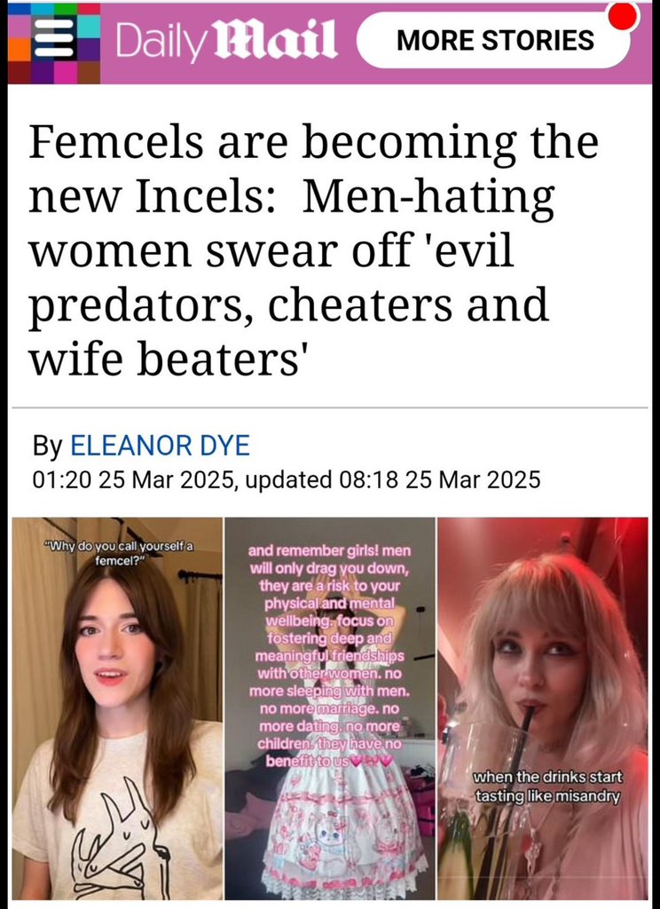 Femcels avoid men because they are abusive, while incels want to kill women for rejecting them. One is rooted in survival. The other, in entitlement. Femcels are not incels.