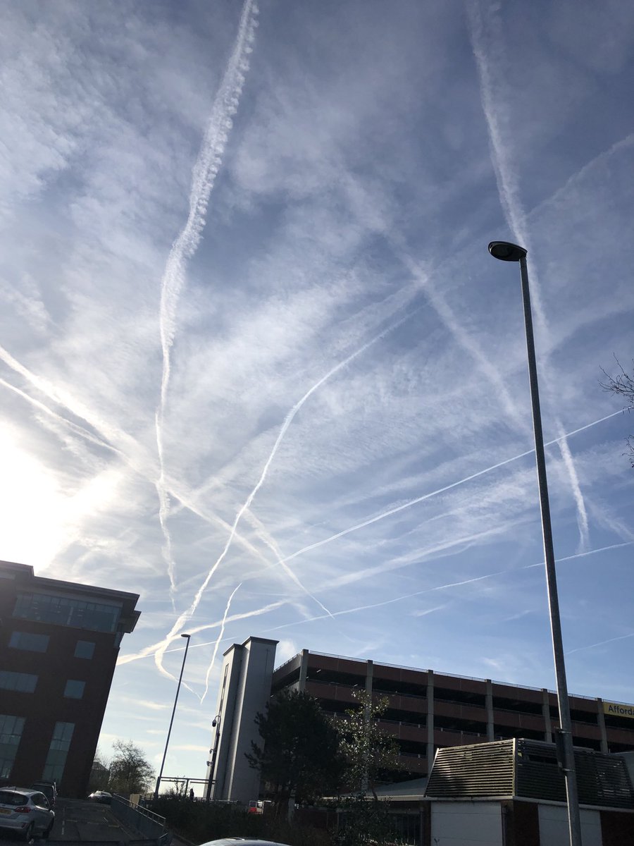 Daniel Cookson tweet media