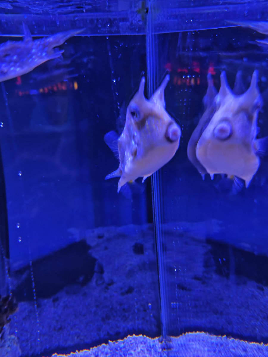 三木前前 tweet media