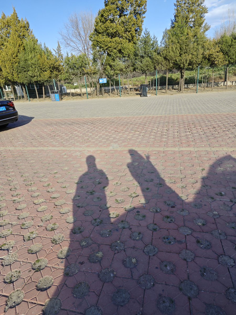 三木前前 tweet media