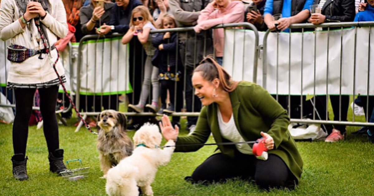 Have you registered your dog for the #RichmondMayFair Dog Show sponsored by the fabulous Pet People Vets on Saturday May 10? Enter online today richmondmayfair.co.uk/dog-show. Cost of entry is £5 but be quick, places are limited. #dogsofrichmond #encoredogs #petpeoplevets
