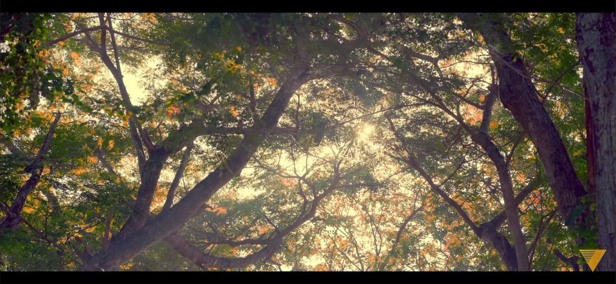 Ieeyoungae's tweet photo. ulan (2019) dir. irene villamor https://t.co/GwMmpiGLL5
