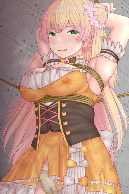 skebありがとうございました!
監禁されてるnnc
(非表示リクエストなのでトリミング版) 