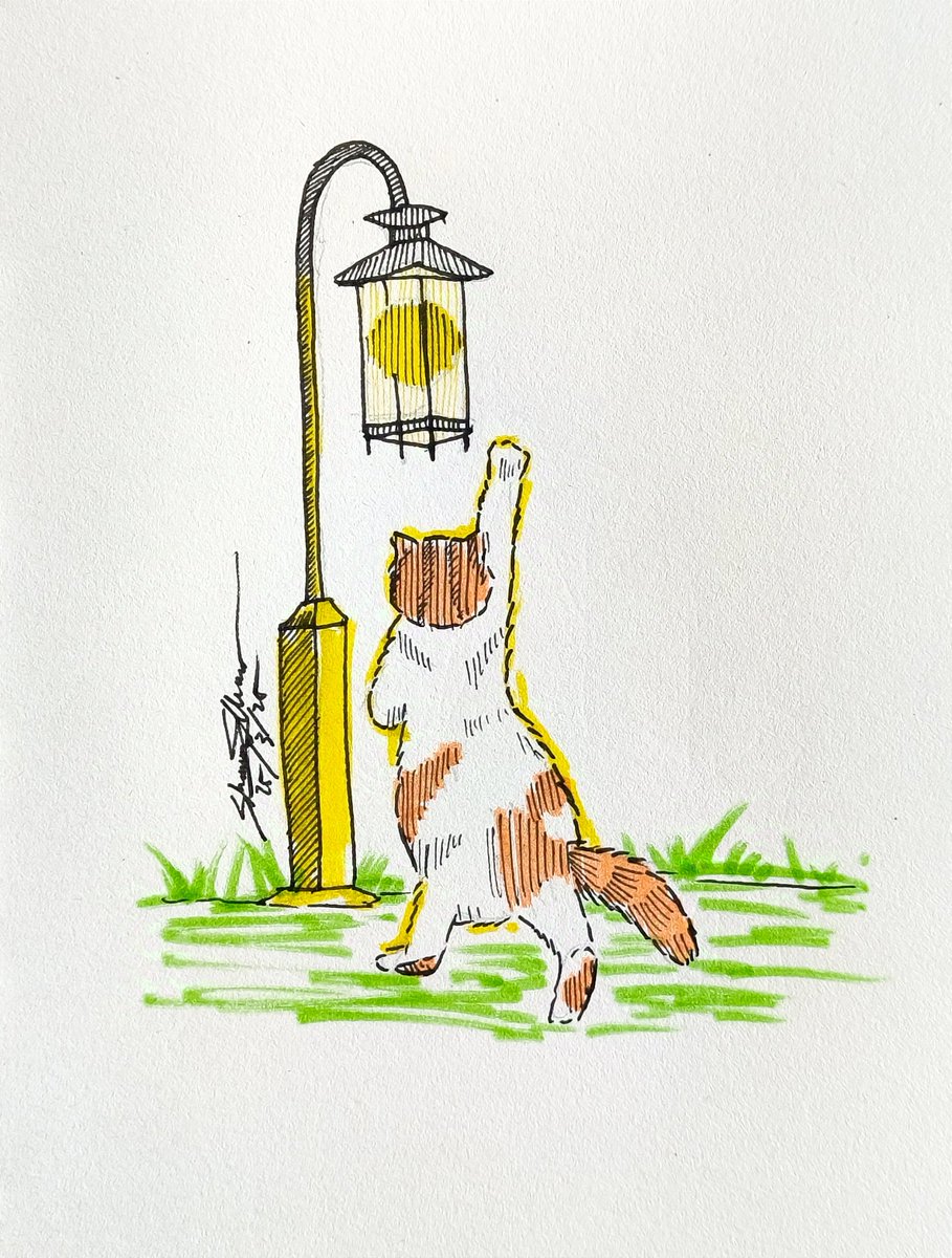 shawnellian's tweet image. Little kitty tries to catch the light 🐈✨

#doodleart #pendoodle #catdoodle #sketchbook #penandmarkers #drawing #artmoots #artcommunity #cat #art #traditionalart