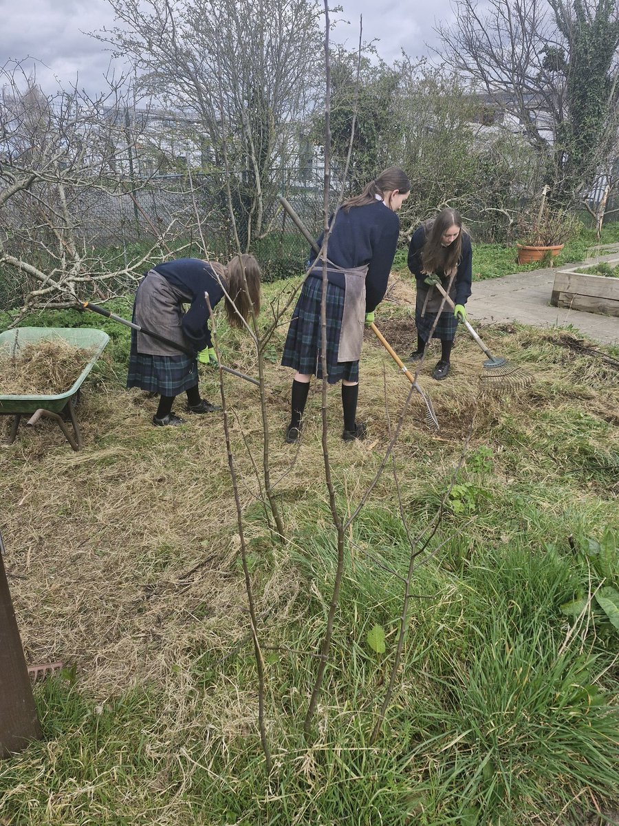 Coláiste Bríde D22 tweet media